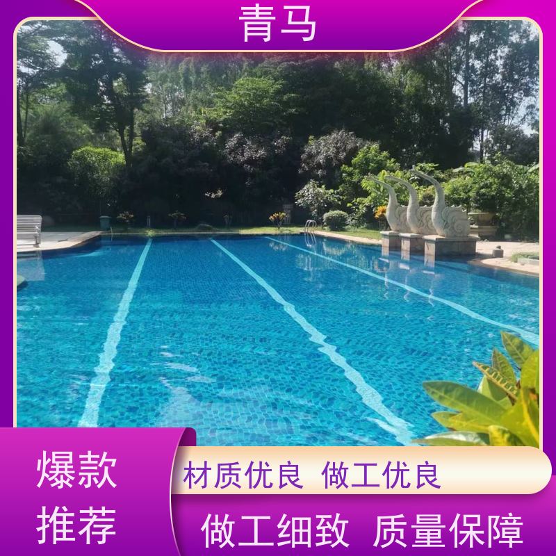 青马 无边游泳池 适用于星级酒店 按需定制 免费测量