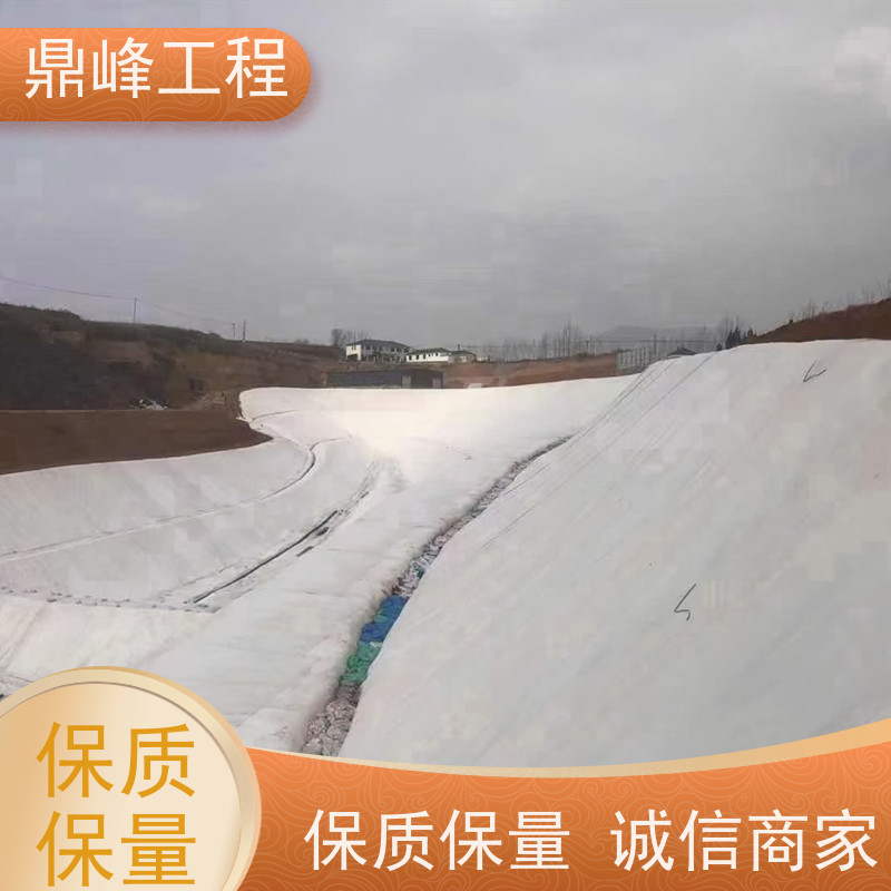 鼎峰工程 裂膜丝土工布 毛毡布 沿江江堤适用强度高