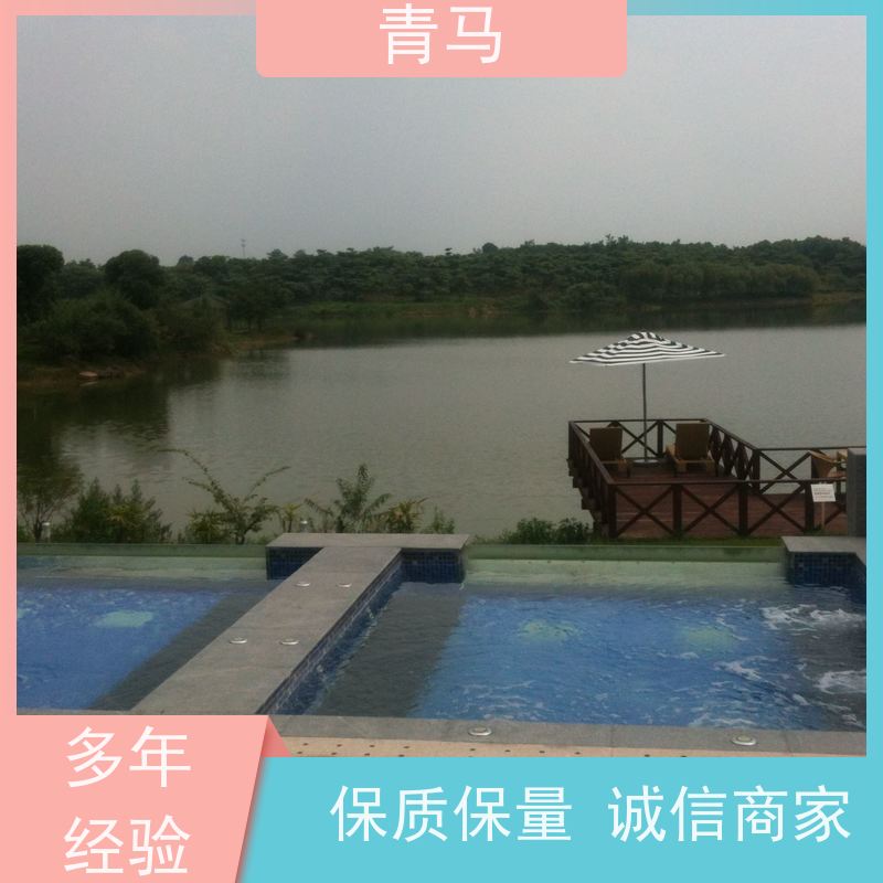 青马 恒温泳池 适用于星级酒店 设计 施工 维护 一站式服务