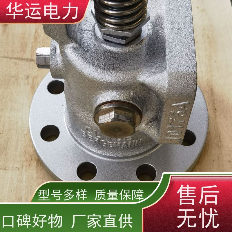 蒸汽吹灰器 提升阀DN80 IK-555 伸缩式 高密封性