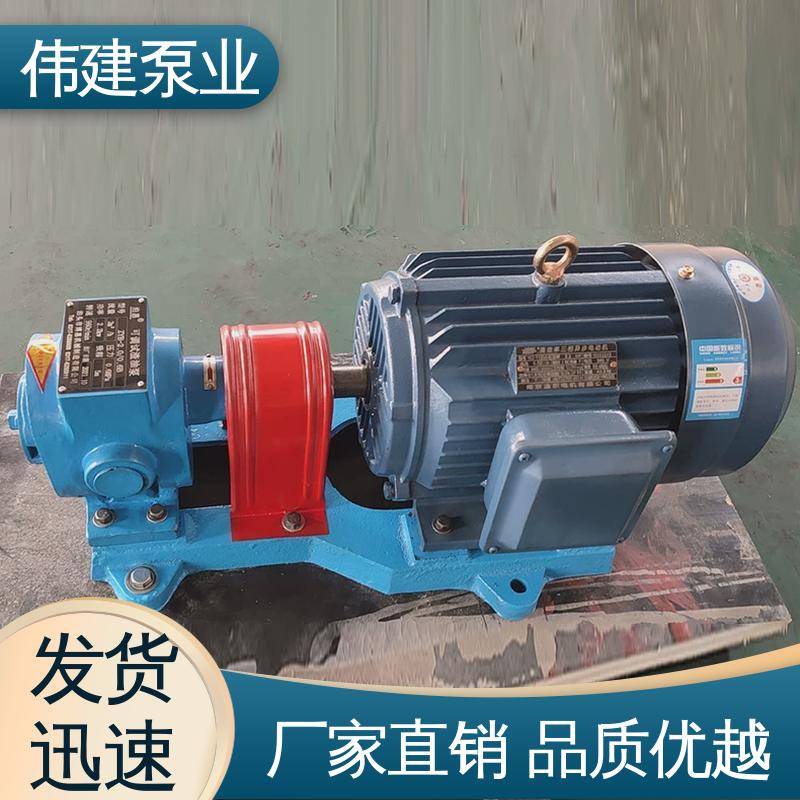 伟建供应 废机油输送用 规格齐全 不锈钢齿轮泵 低噪音