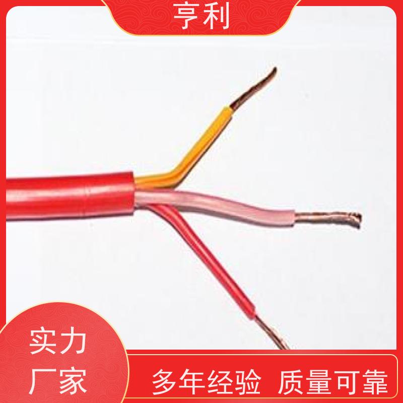 ZRC-DJVP2V 结构多样化 无氧铜 10*2*1.5 高温计算机电缆