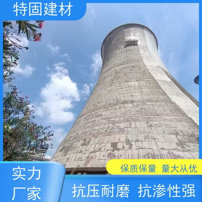 高强环氧树脂砂浆 防渗透耐酸碱 厂家直供 特固新型建材