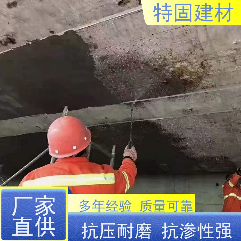 聚合物防水砂浆 耐酸碱耐腐蚀 产地货源 常年供应 特固建材
