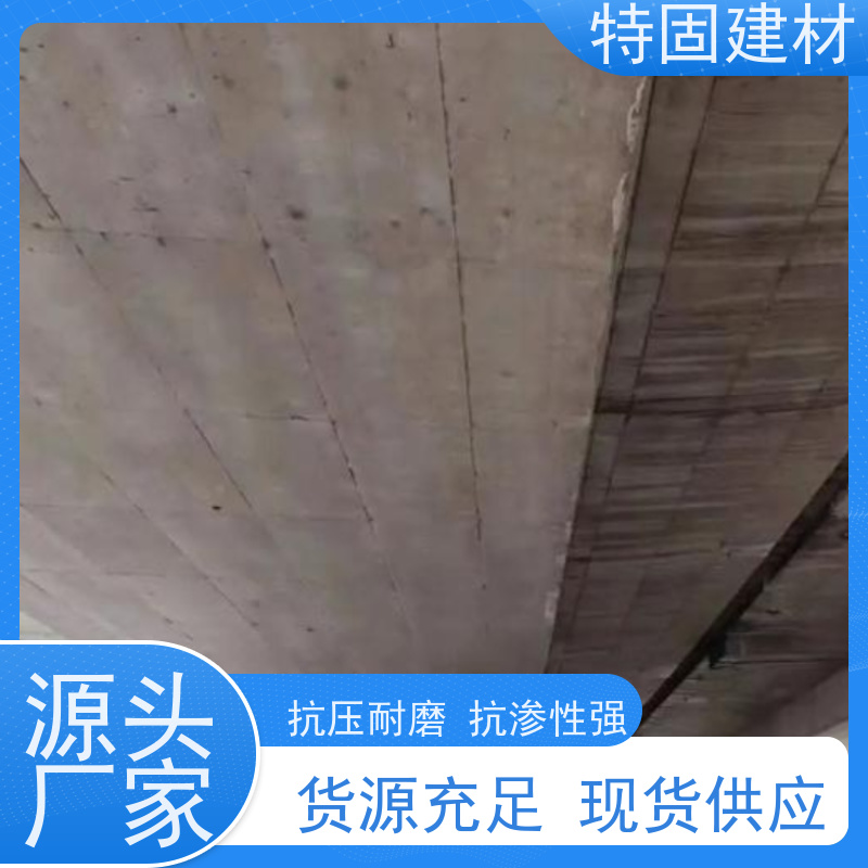 水性环氧树脂砂浆 高流态耐腐蚀 长期生产供应 特固建材