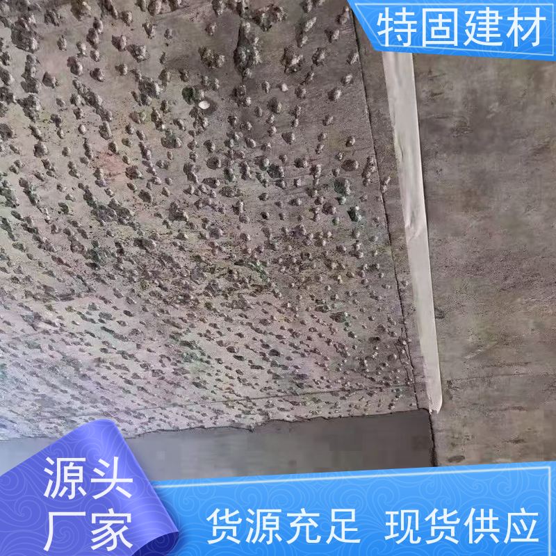环氧树脂修补砂浆 抗渗性强 规格齐全 生产厂家 特固建材