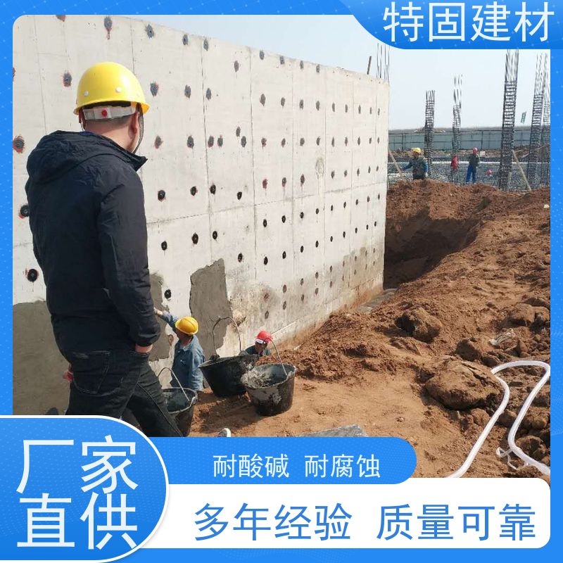 聚合物防水砂浆 高流态耐腐蚀 免费指导 源头工厂 特固新型建材
