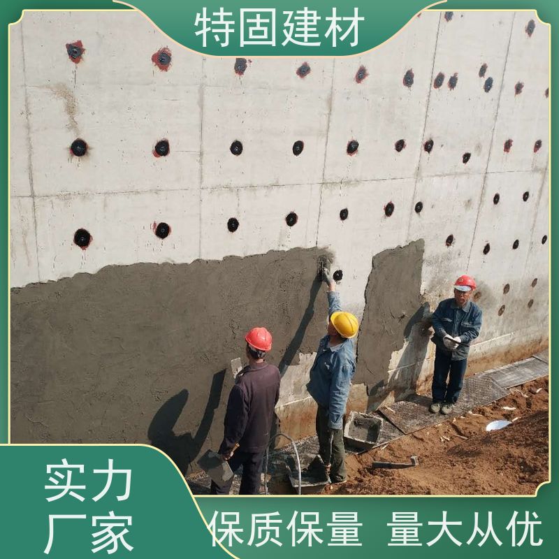 高强环氧树脂砂浆 墙面修补加固 规格齐全 生产厂家 特固新型建材
