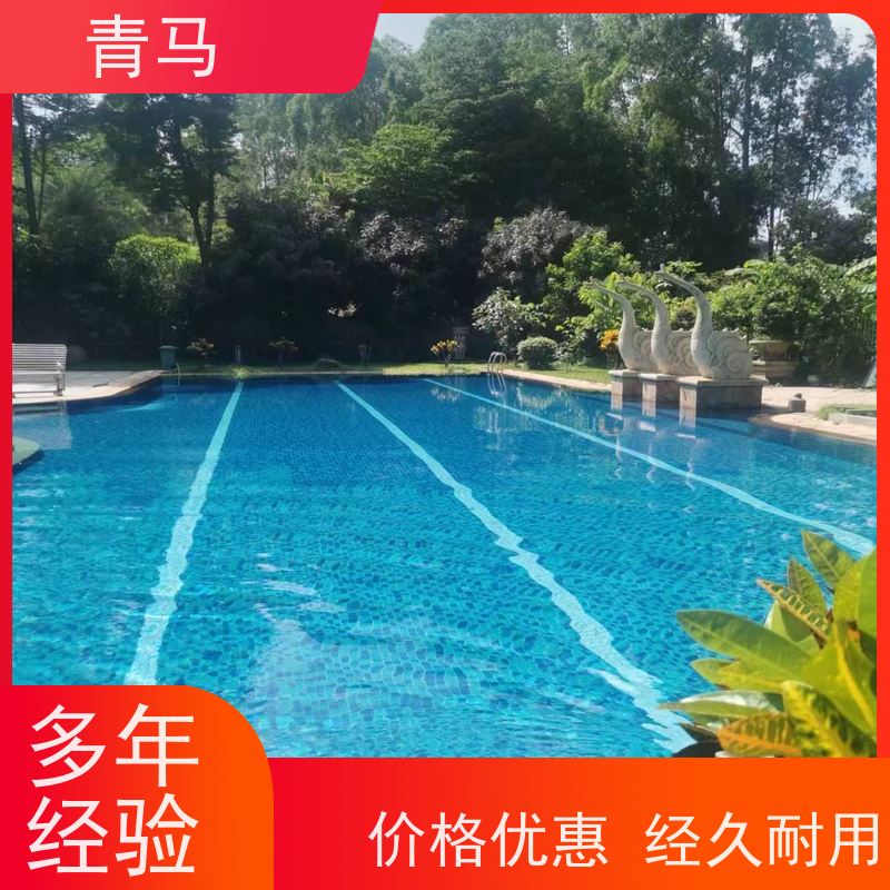 青马 休闲游泳池 适用于小区民宿 按需定制 免费测量