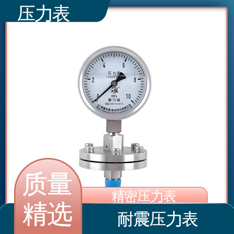 天康 LT系列 无线压力表 环境适应性强 实力厂家 支持定制