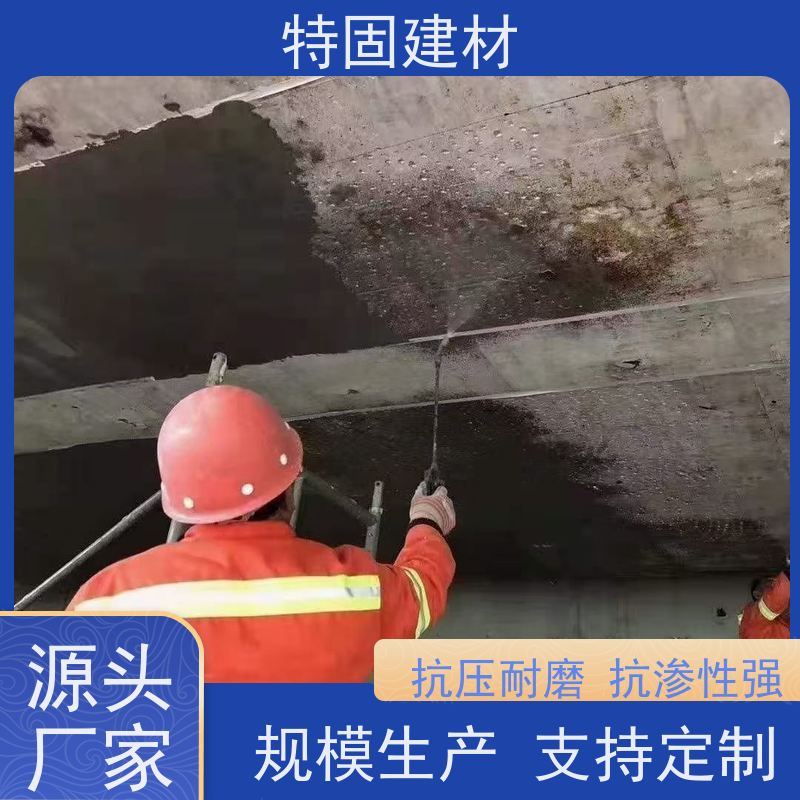 环氧树脂修补砂浆 高流态耐腐蚀 免费指导 源头工厂 特固建材