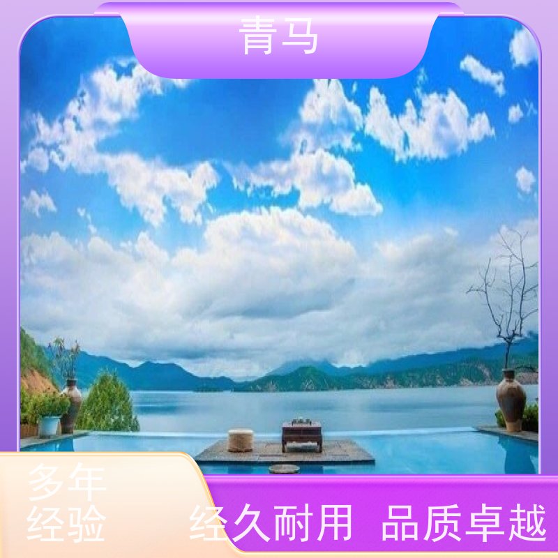 青马 海滩游泳池 适用于别墅 现代简约 多种颜色