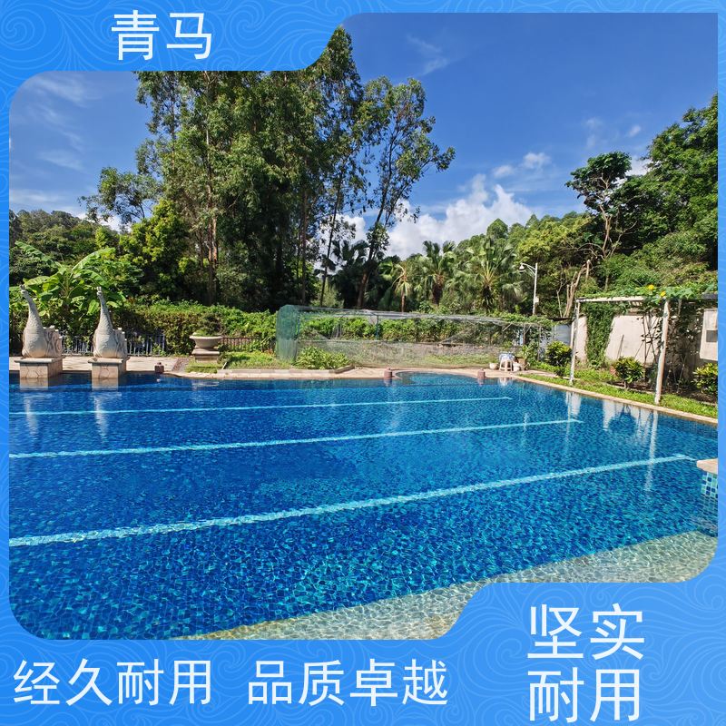 青马 私人泳池 适用于体育馆 按需定制 免费测量