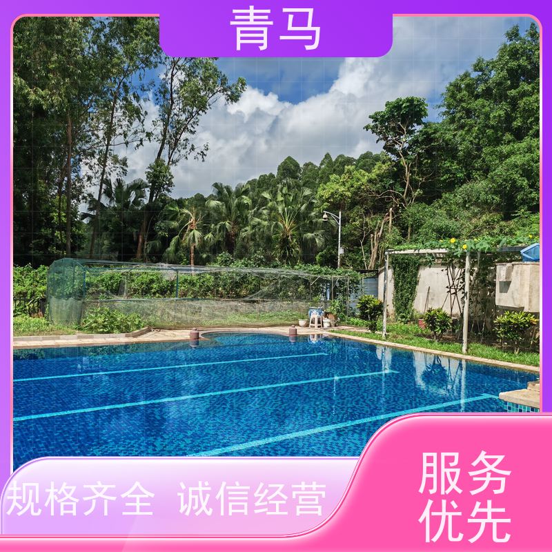 青马 休闲游泳池 适用于别墅 设计 施工 维护 一站式服务