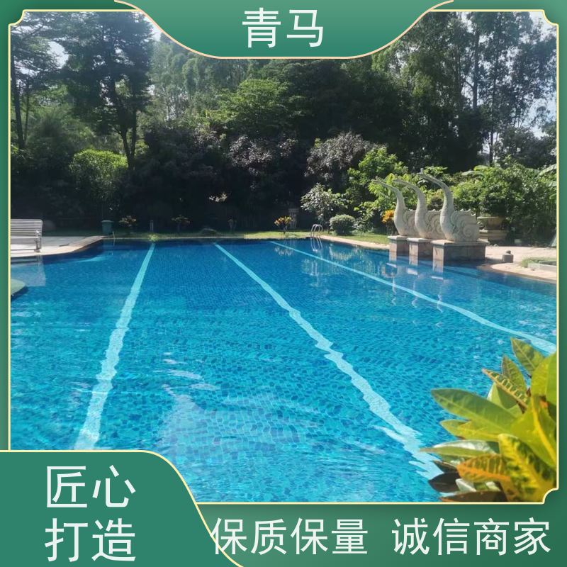 青马 温泉泳池 适用于健身俱乐部 现代简约 多种颜色