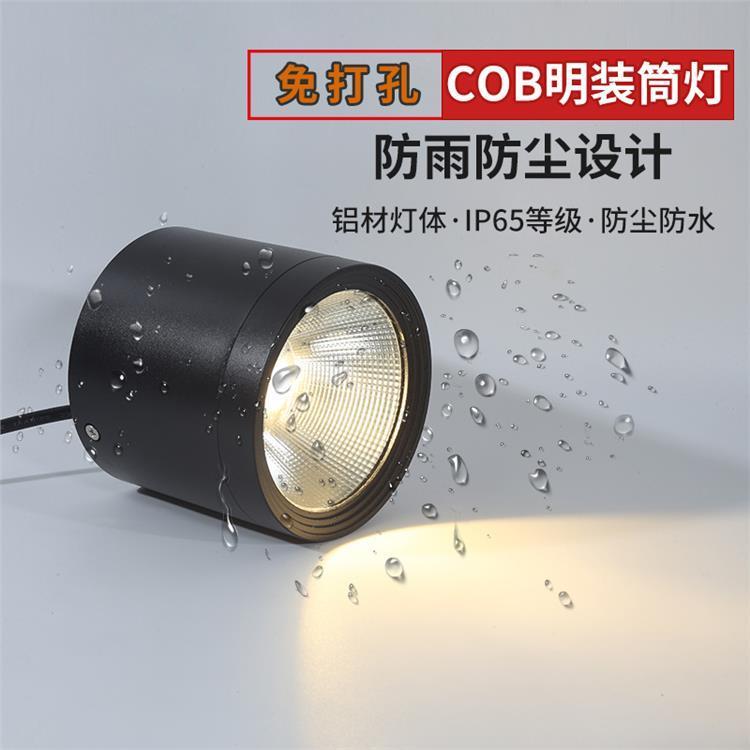 LED防水明装筒灯 户外射灯 防眩机场高铁站天棚灯