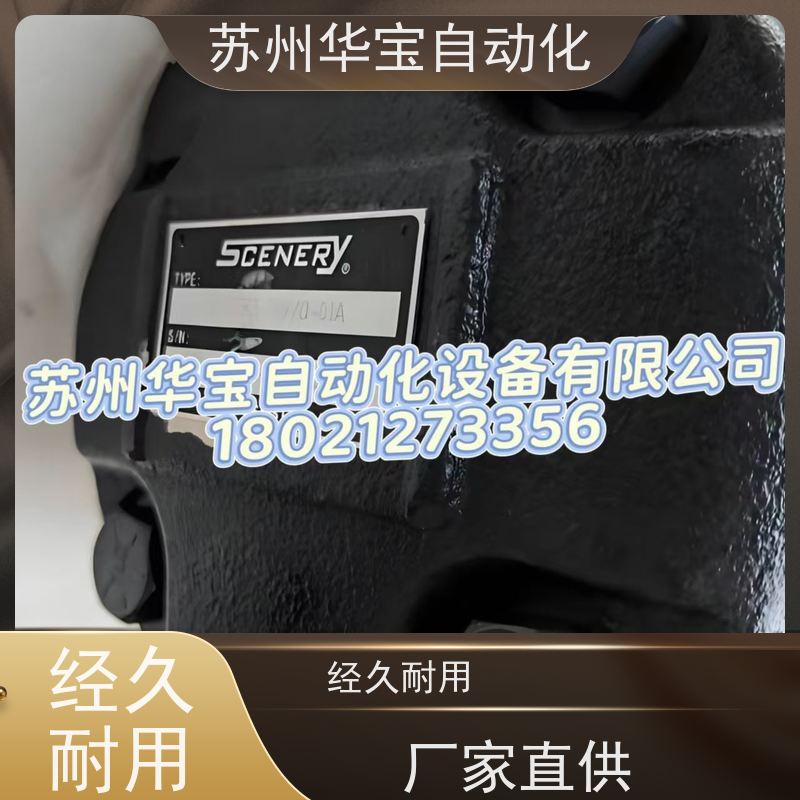 塞纳瑞SCENERY液压油泵S20V/S25V/S35V/S45V 注塑机 打包机叶片泵