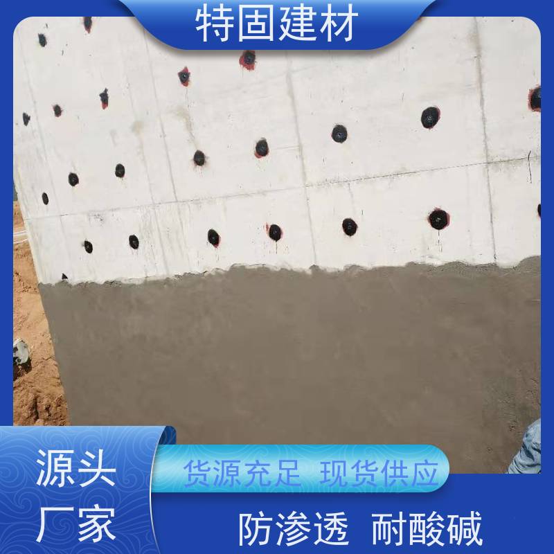 防水防腐砂浆 抗压耐磨 厂家直供 特固新型建材