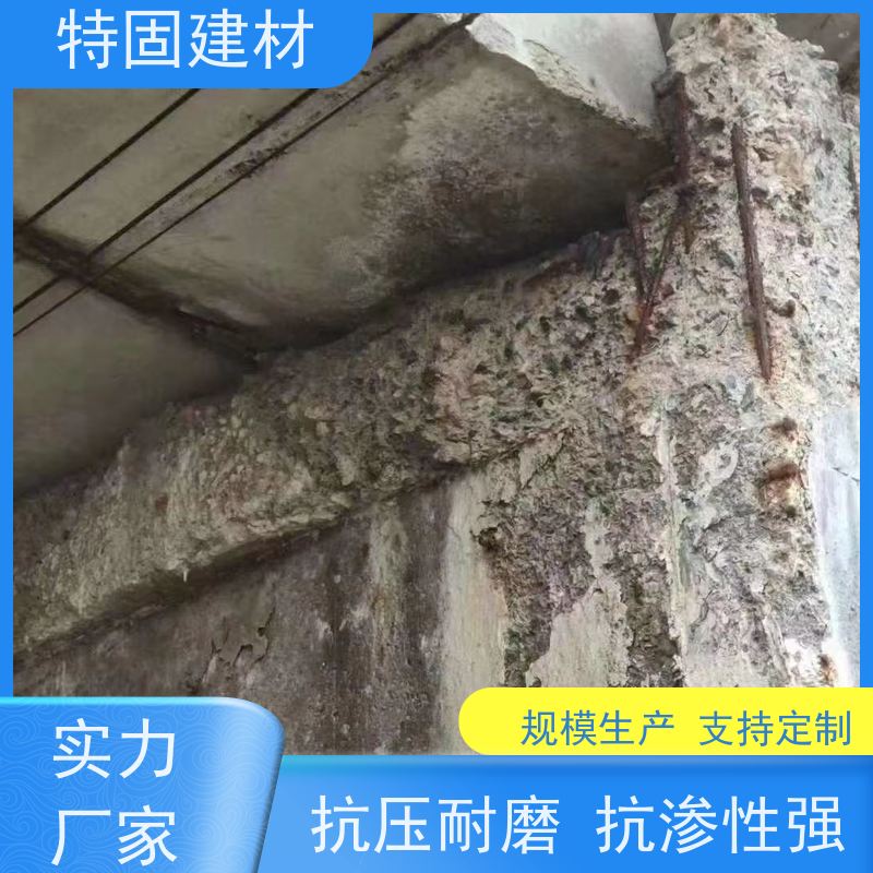 修补加固防水砂浆 流动性能强 规格齐全 生产厂家 特固建材