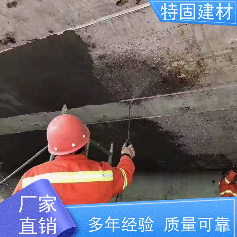 聚合物修补砂浆 适应性强 免费指导 源头工厂 特固新型建材
