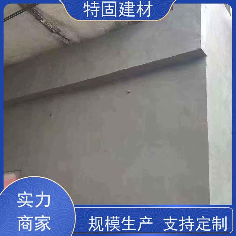 聚合物防水砂浆 耐酸碱耐腐蚀 工厂供应 发货及时 特固建材