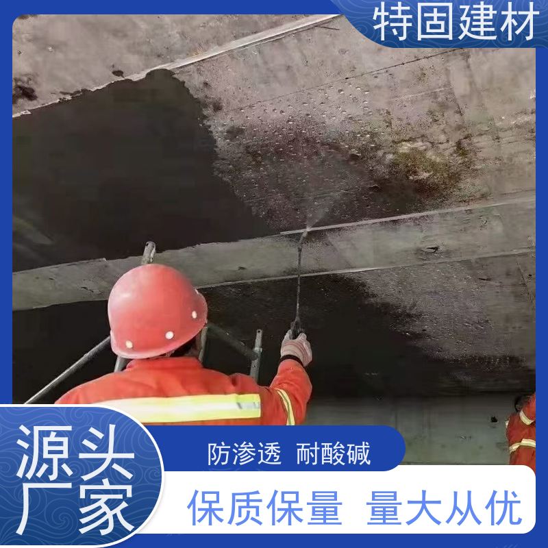 环氧树脂砂浆 抗压耐磨 工厂供应 发货及时 特固新型建材