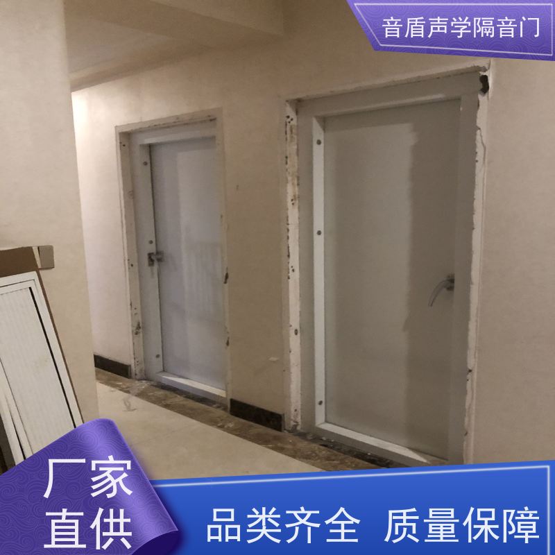 音盾科技 舞蹈室 隔声门 值得信赖 非标定制生产
