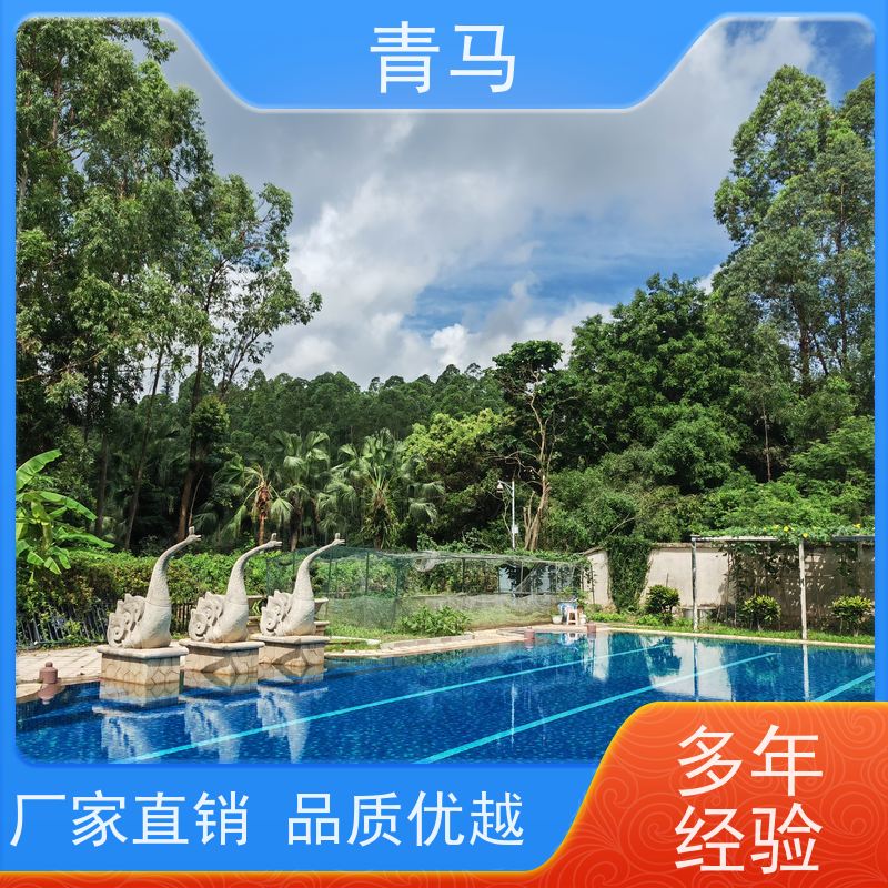 青马 户外游泳池 适用于水上乐园 按需定制 免费测量