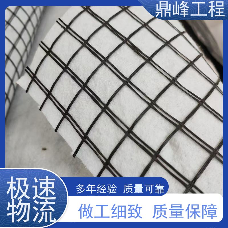 高强经编土工格栅 抗撕裂强度大 热稳定性可靠