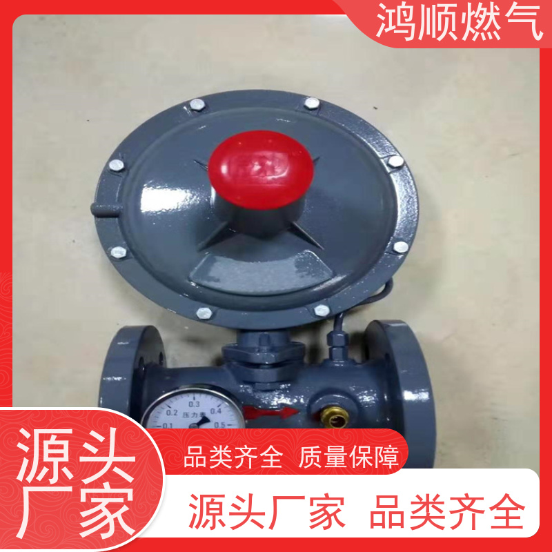 鸿顺 厂家 液化气减压阀 占地小安装方便 规格齐全