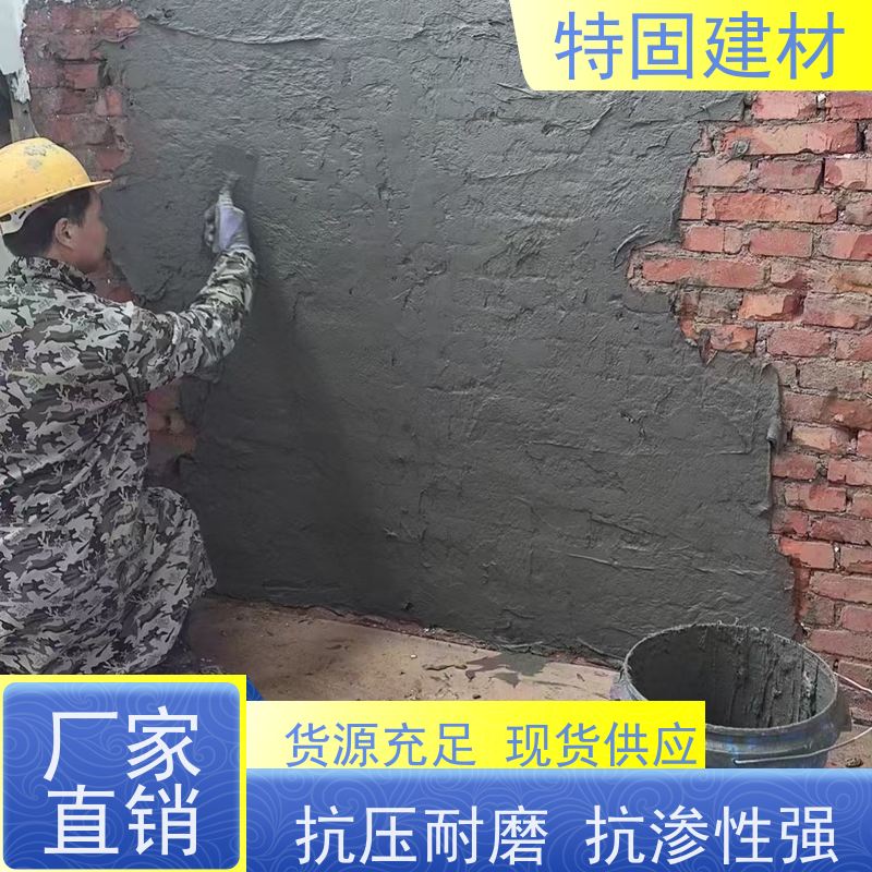 水性环氧树脂砂浆 高强度抗压 长期生产供应 特固建材