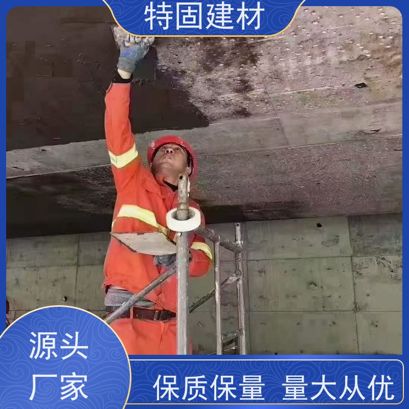 环氧树脂修补砂浆 抗渗性强 厂家直供 特固建材
