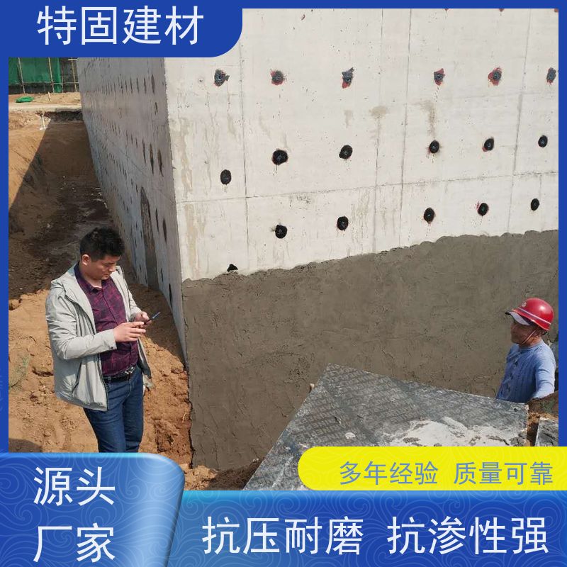聚合物防水砂浆 抗压耐磨 免费指导 源头工厂 特固新型建材