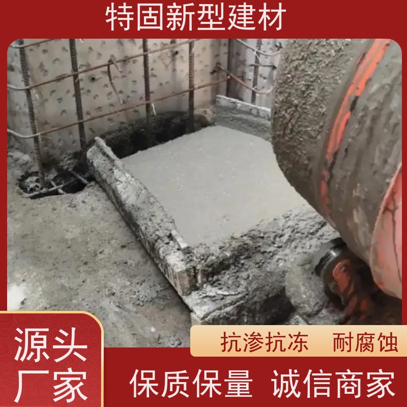 特固 环氧树脂灌浆料 微膨胀无收缩 长期生产供应