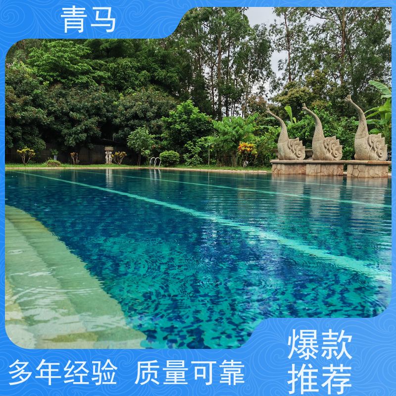 青马 室内游泳池 适用于别墅 设计 施工 维护 一站式服务