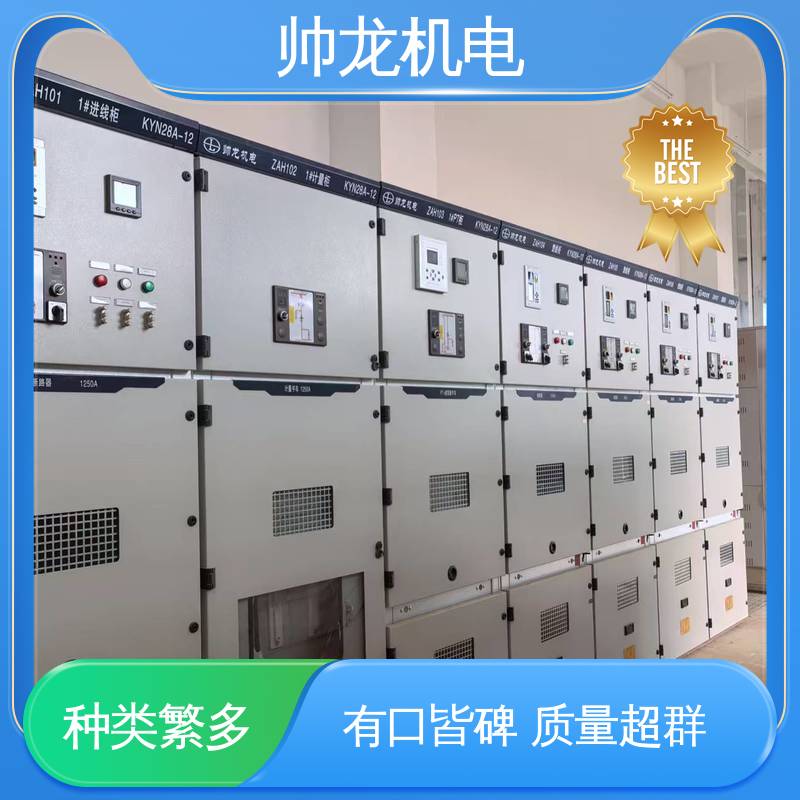 高压 运行稳定 平稳可控 工艺精湛 提供技术服务 馈线柜 重 庆
