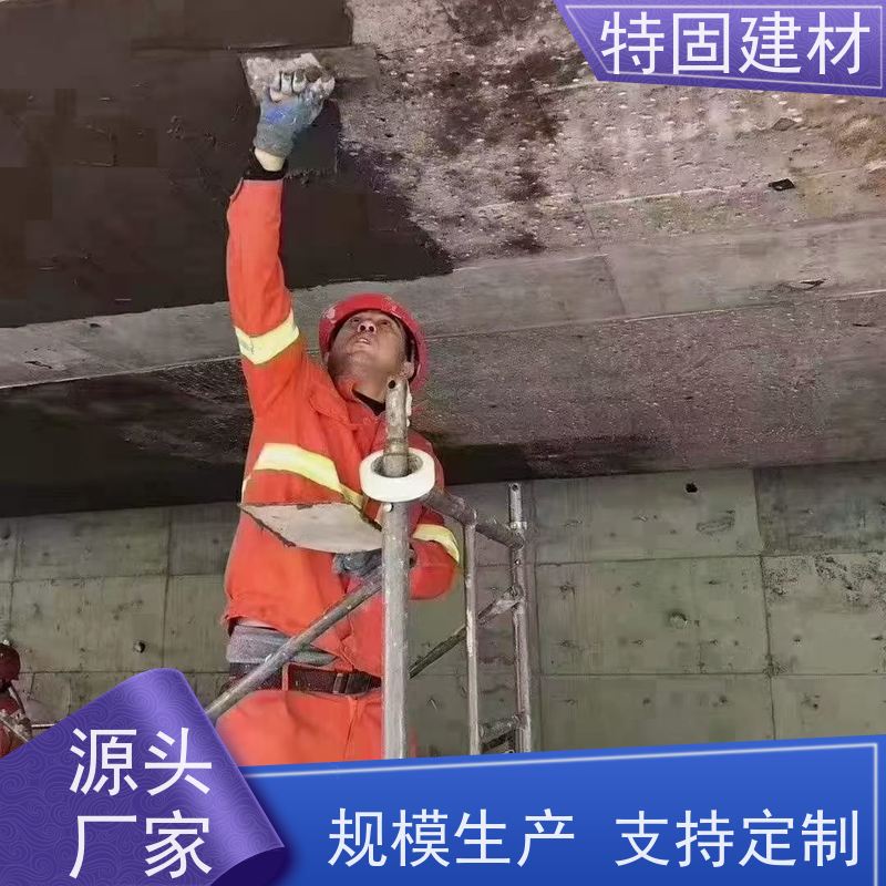 高强环氧树脂砂浆 墙面修补加固 长期生产供应 特固新型建材