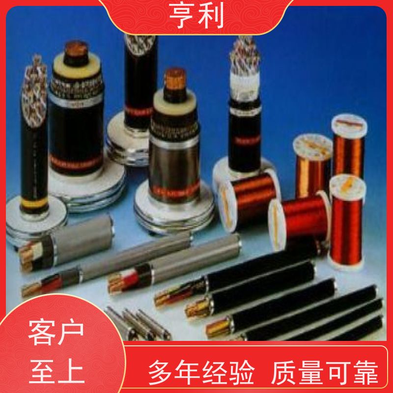 ZRC-DJVPV 结构多样化 安全保证 2*2*1.5 耐火计算机电缆