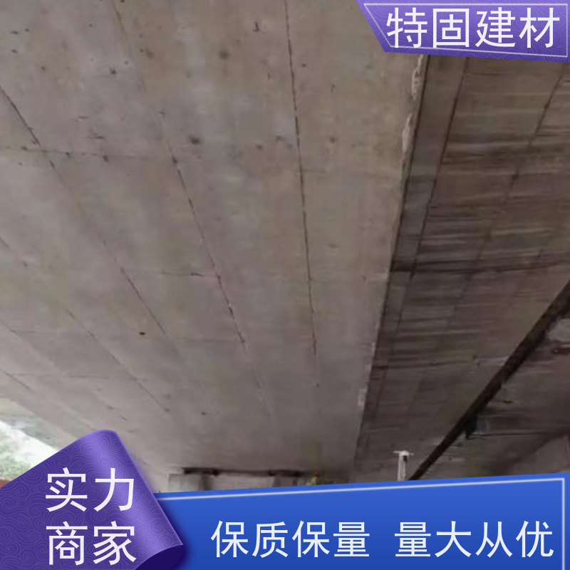 水性环氧树脂砂浆 高强度抗压 厂家直供 特固建材