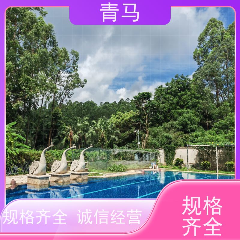 青马 景观泳池 适用于体育馆 设计 施工 维护 一站式服务