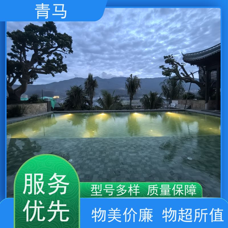 青马 按摩游泳池 适用于别墅 设计 施工 维护 一站式服务