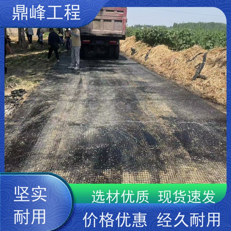 玻纤复合土工格栅 抗撕裂强度大 热稳定性可靠