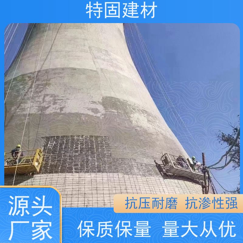 聚合物防水砂浆 抗压耐磨 免费指导 源头工厂 特固建材