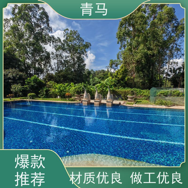 青马 景观泳池 适用于体育馆 现代简约 多种颜色