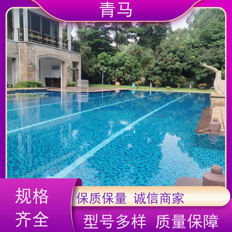 青马 私家游泳池 适用于水上乐园 设计 施工 维护 一站式服务