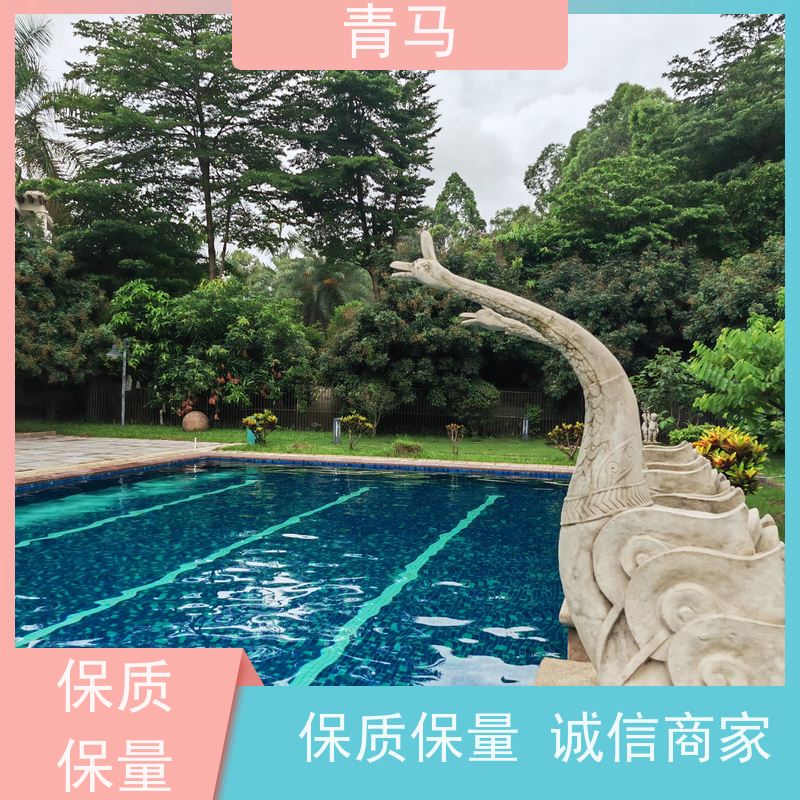 青马 无边界游泳池 适用于水上乐园 现代简约 多种颜色