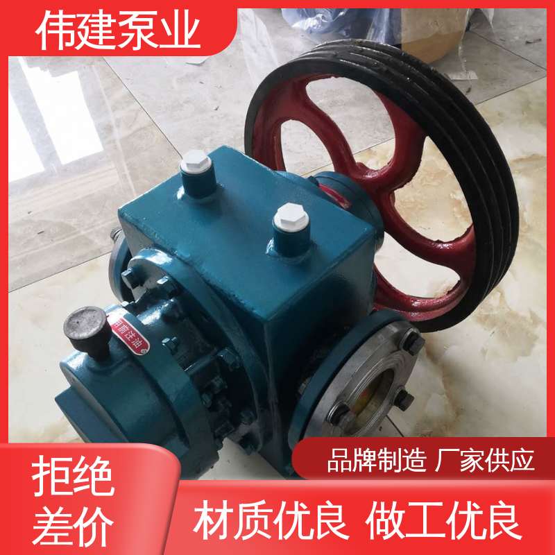 伟建供应 耐高温300度 LC50皮带轮罗茨泵 支持定制