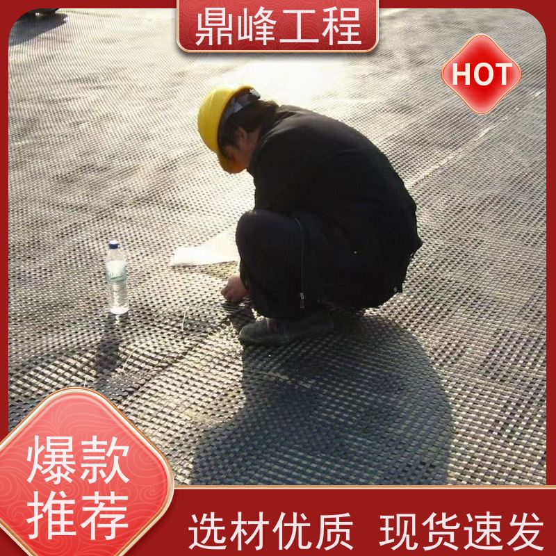纤塑土工格栅土工格栅 产品质量有保障 支持定制