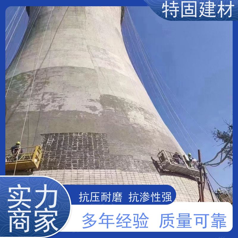 聚合物修补砂浆 抗渗性强 免费指导 源头工厂 特固新型建材