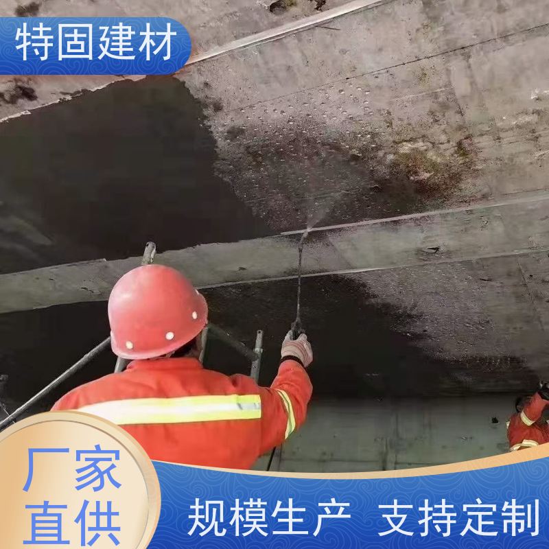 聚合物修补砂浆 抗压耐磨 产地货源 常年供应 特固建材